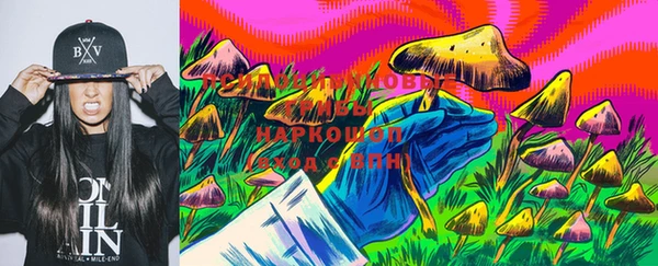прущие крисы Корсаков