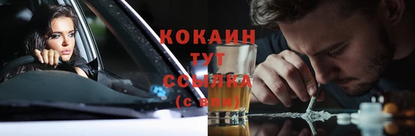 прущие крисы Корсаков