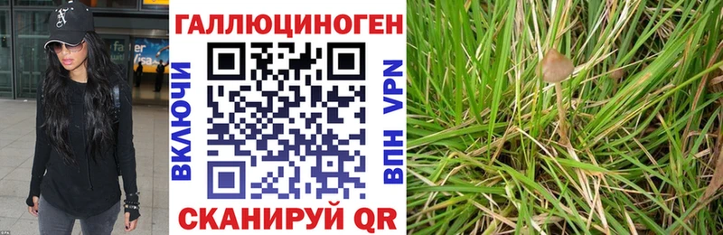 Псилоцибиновые грибы MAGIC MUSHROOMS  Каргат 